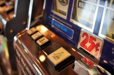 wintoto betting interface showing live bet placement and payout calculations